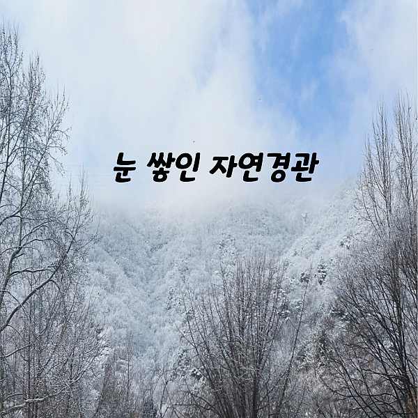  자연경관 끝내주는 주인장 동네