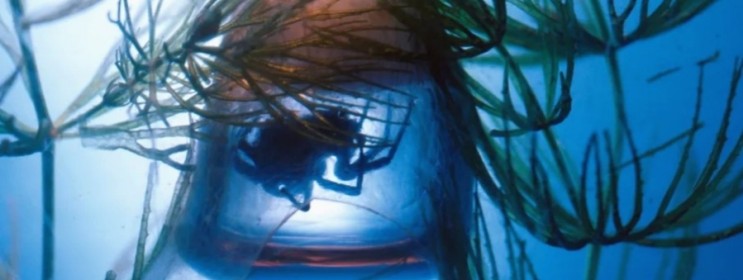 물거미, 물속에서 거미줄을 쳐서 생활하는 유일한 거미종