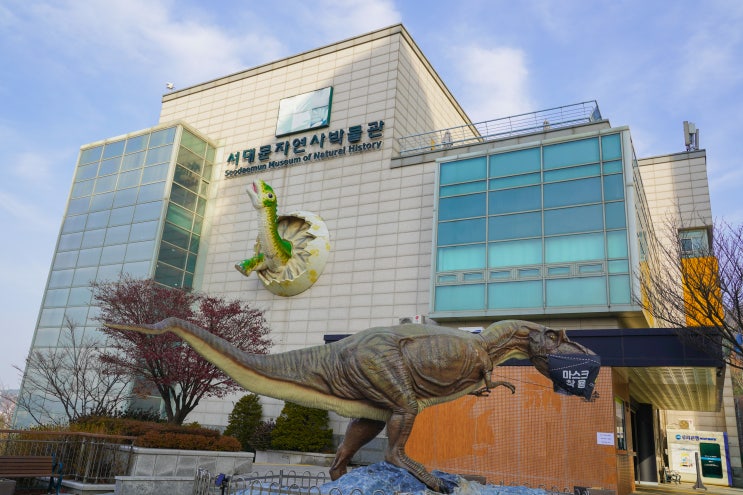 서대문 자연사 박물관 주차, 예약 서울 여자 혼자 여행 서대문 자연사 박물관 주차, 예약 서울 여자 혼자 여행