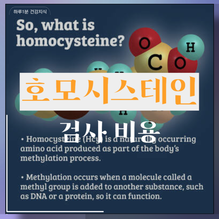  호모시스테인 검사 비용 : 수치 낮추는 음식
