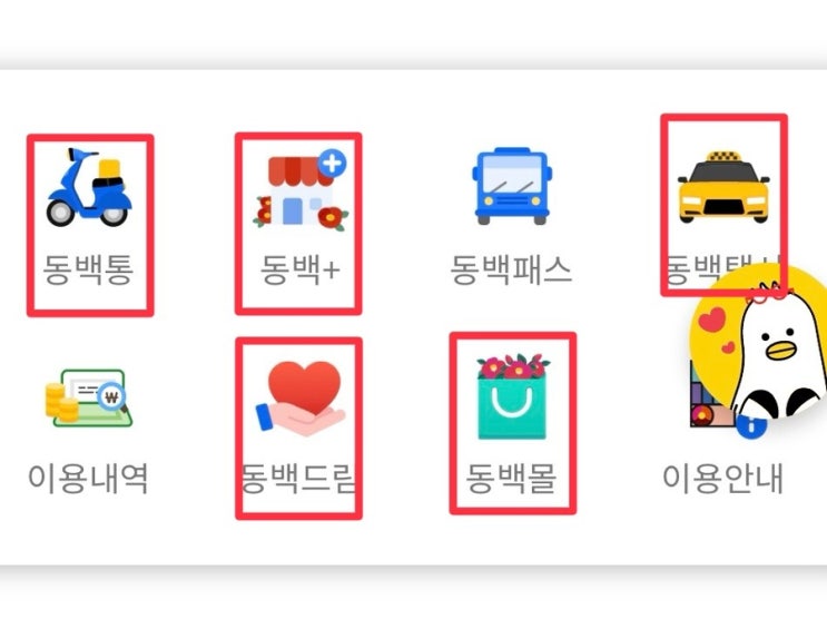  [정보 공유] 부산 교통비 절약 : 동백패스 교통카드 환급 및 환급금 사용후기 (동백통 사용)