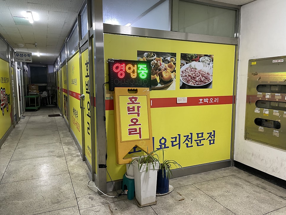 호박오리 사진 2
