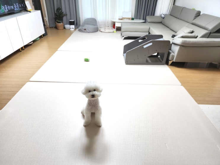 퍼핑매트 <b>러그</b>타입 깔끔한 디자인 펫매트