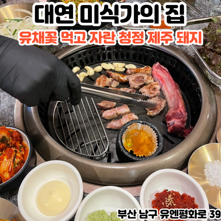  부산INFJ의 맛집여행 - [부산 대연] 미식가의 집 : 유채꽃 먹고 자란 청정 제주 돼지 숄더랙을 파는 대연동맛집