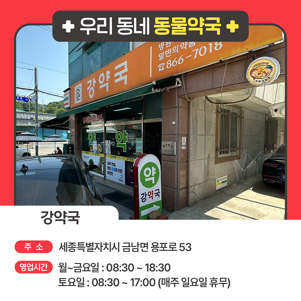 강약국 사진 1
