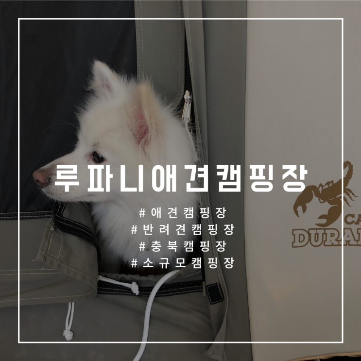  [괴산:루파니애견캠핑장] 반려견 동반 캠핑장 내돈내캠 추천(시설, 이용요금, 예약방법, 이용수칙)