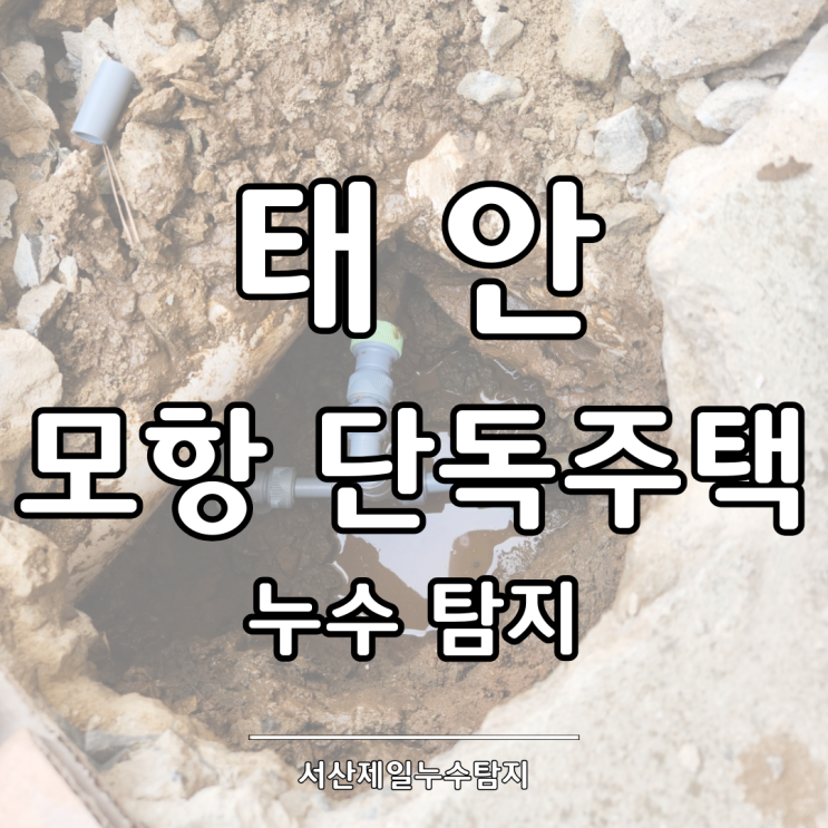  태안 누수 탐지 모항 단독주택 냉수배관이 문제였습니다.