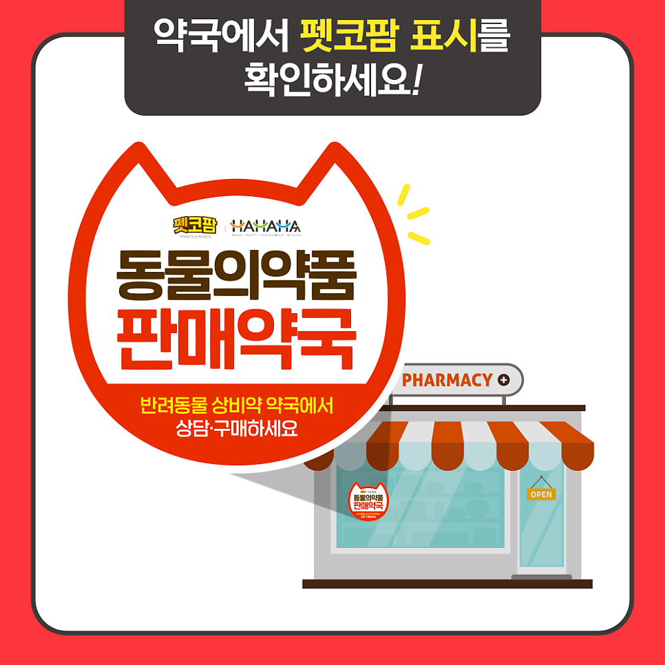 강약국 사진 4