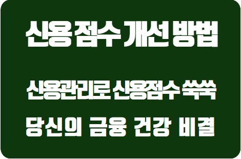  신용 점수 쑥쑥, 당신의 금융 건강 비결