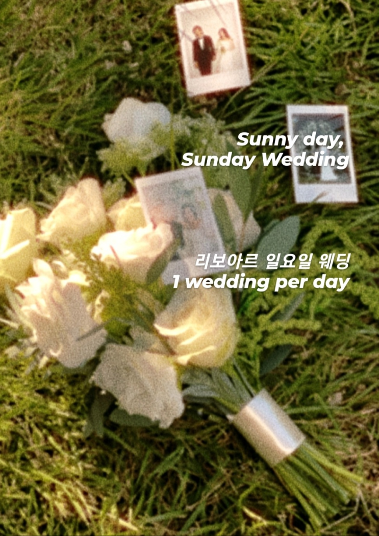  Sunny day, SUN DAY WEDDING 리보아르 일요일 웨딩 혜택
