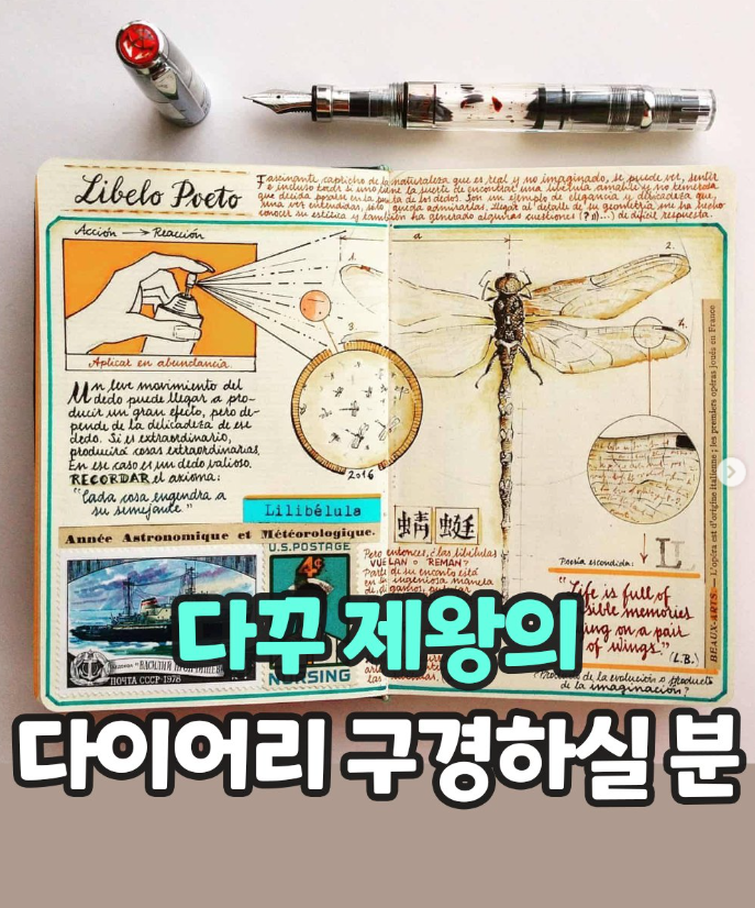  다꾸 제왕의 다이어리 구경하실 분