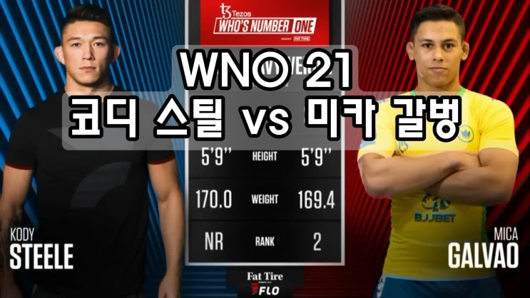  WNO 21 코디 스틸 vs 미카 갈벙 하이라이트 분석 영상
