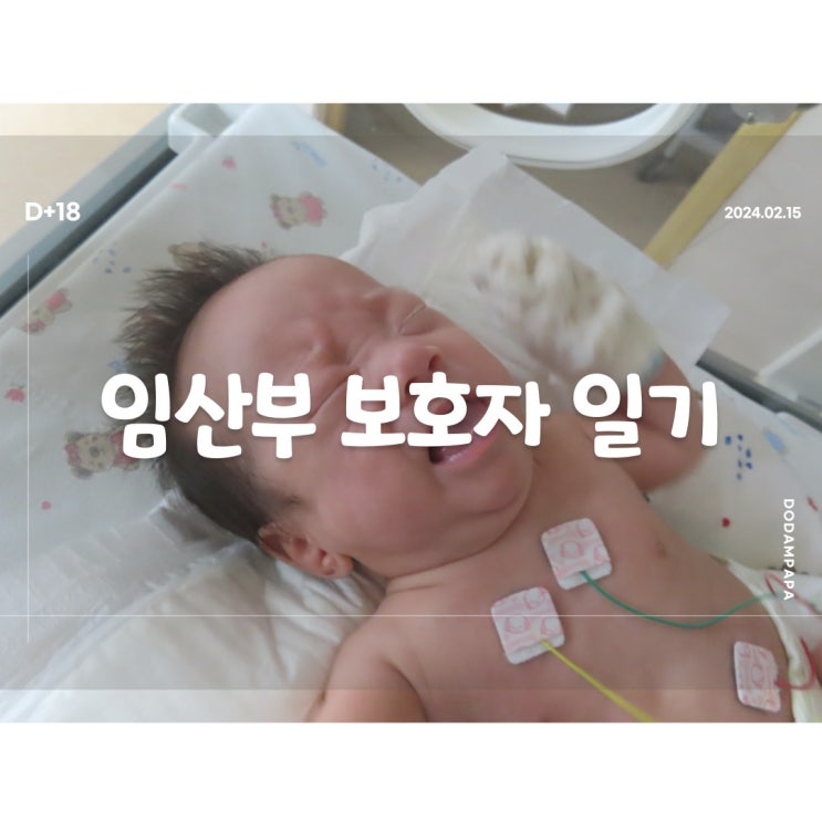 2024.02.15 임산부 보호자 일기 D+18일 2024.02.15 임산부 보호자 일기 D+18일