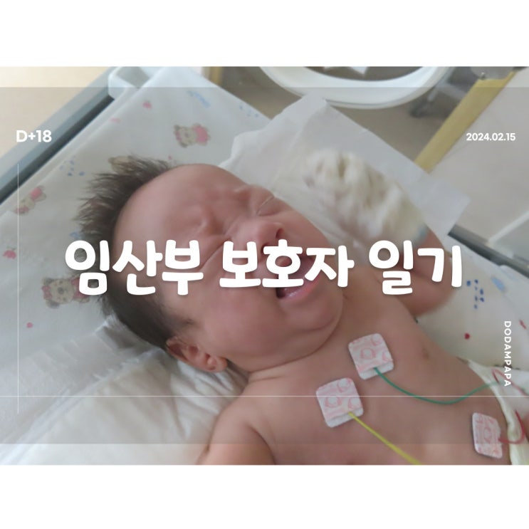 2024.02.15 임산부 보호자 일기 D+18일