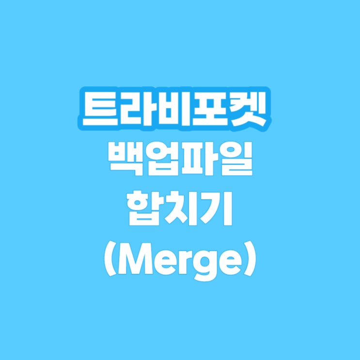  여행경비 가계부 어플 트라비포켓, 백업파일 합치는 방법 및 문의 과정