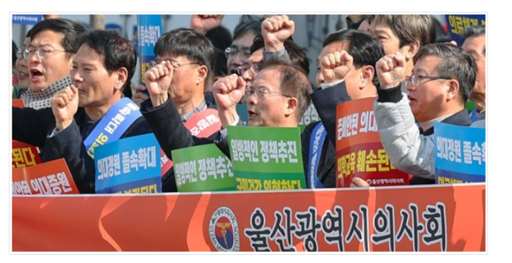 의사단체, 전국서 동시다발 집회…"<b>의대 증원 반대</b>"