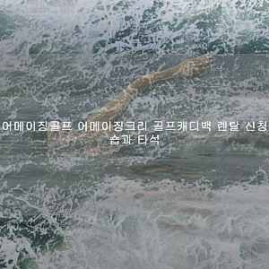 어메이징골프 어메이징크리 골프캐디백 렌탈 신청 숍과 타석