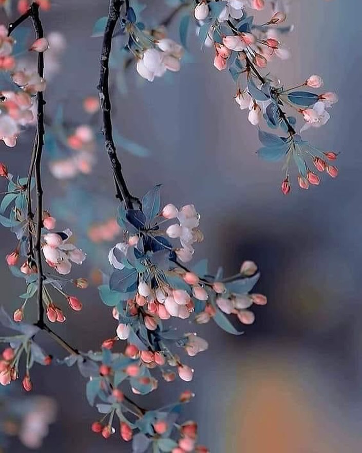   오늘의 생활정보 (2024-02-15, 목)
