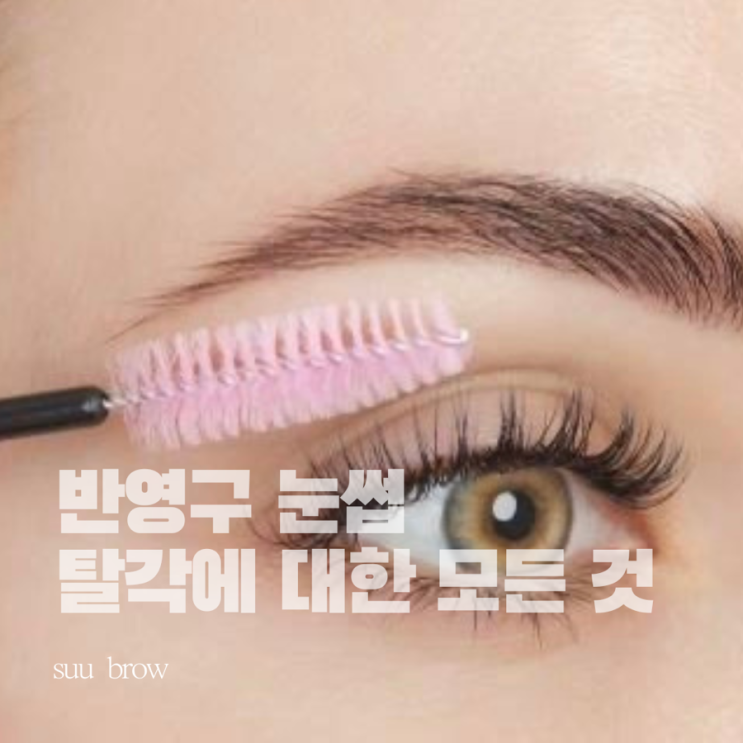  반영구 눈썹, 탈각에 대한 모든것