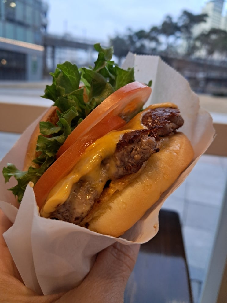 용산 아이파크몰 맛집_ 쉐이크쉑 햄버거 맛집 쉑쉑버거 용산 아이파크몰 맛집_ 쉐이크쉑 햄버거 맛집 쉑쉑버거