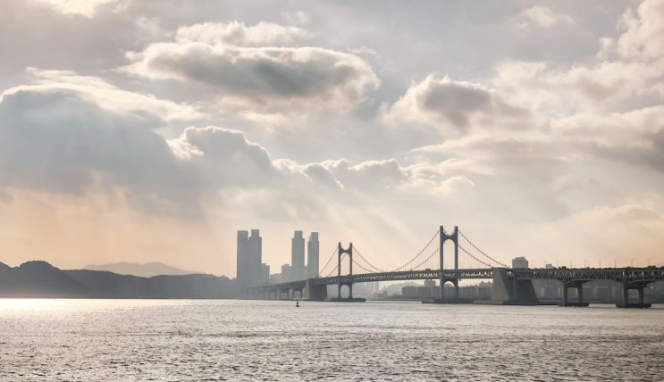  부산 글로벌허브도시 특별법 (가덕도신공항, 부산항 북항, 사직구장)