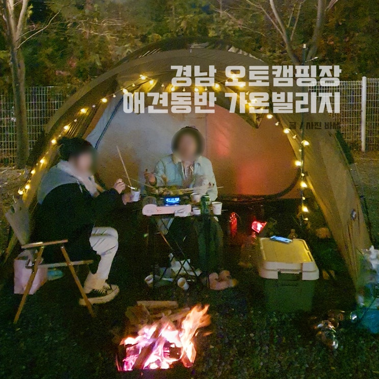  경남 캠핑장, 밀양 가온빌리지 오토 캠핑장 애견동반