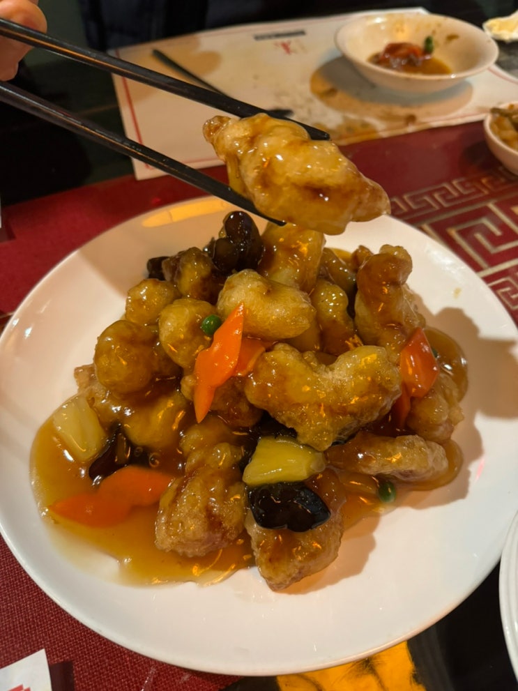  [방배동 주] 내돈내산 요리가 정말 맛있는 방배동 중식 맛집 해물누룽지탕 최고 서울 3대 탕수육 글쎄 요리사진 많음