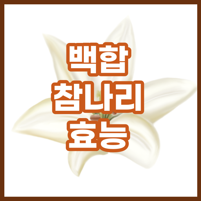  한약재 백합의 효능(참나리, 나리꽃)