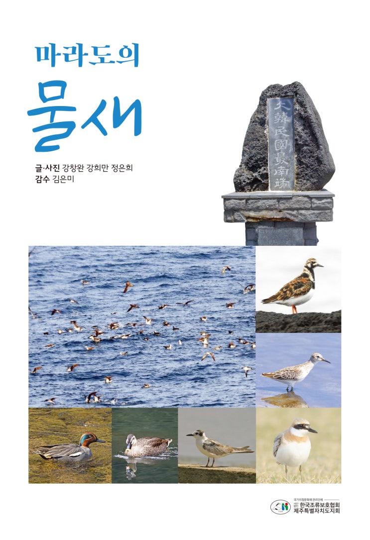  마라도의 물새