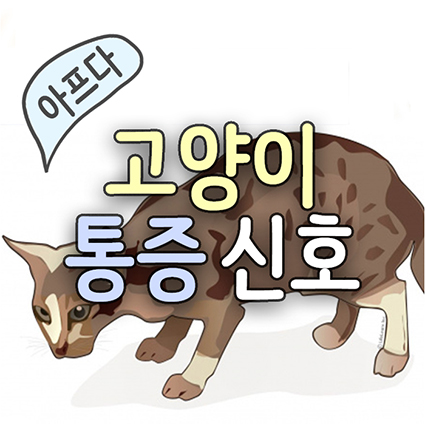  고양이 아플때 행동 자세와 얼굴 표정, 울음 소리. 고양이가 보내는 통증의 신호(아픈 증상)