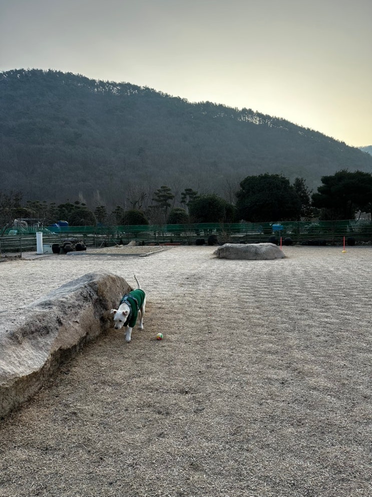  PPP펫파크 양산 부산근교 반려견 단독 프라이빗 무인 운동장