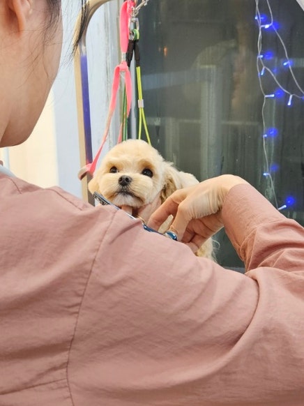 사진 3