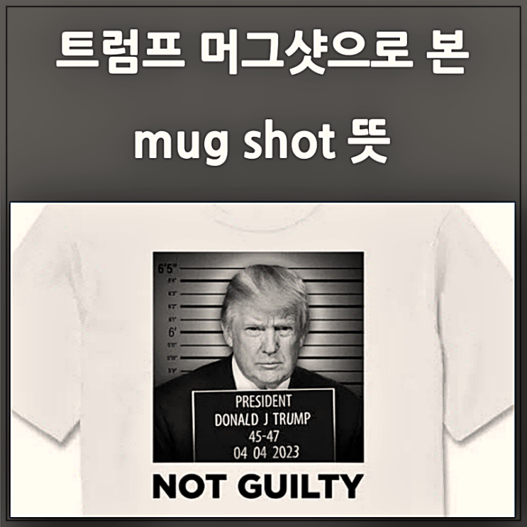 <b>트럼프 머그샷</b>에서 본 mug shot 뜻