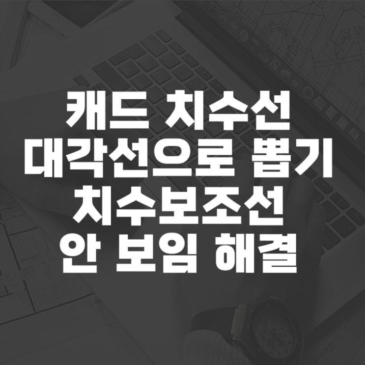  캐드 치수선 대각선으로 뽑기, 치수보조선 안 보임 해결
