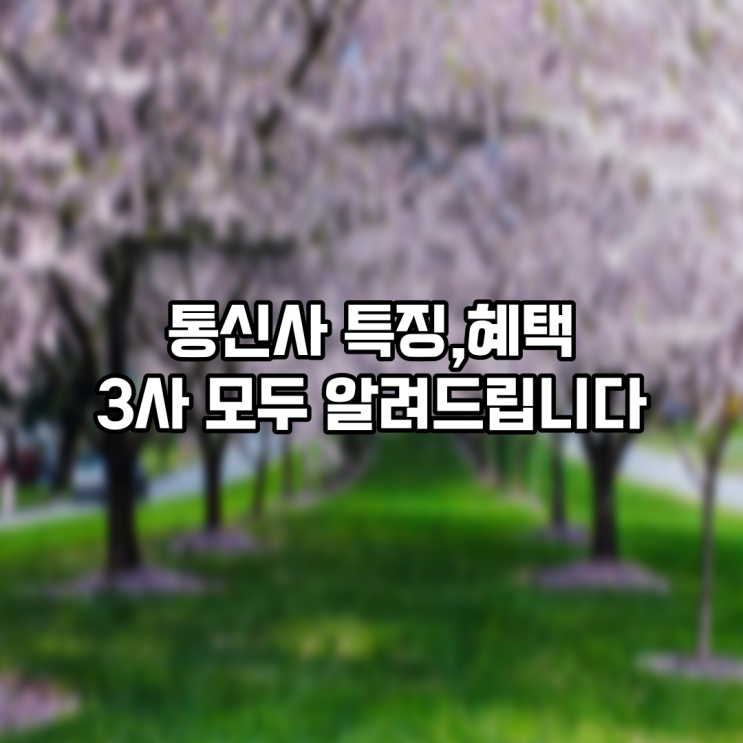  인터넷 통신사 특징!