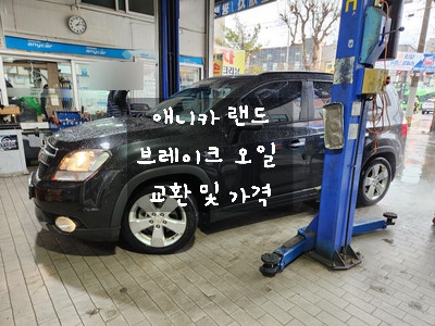  삼성 애니카 랜드 쉐보레 올란도 브레이크 오일 교체 / 안개등 / 번호판 램프 교체 및  가격