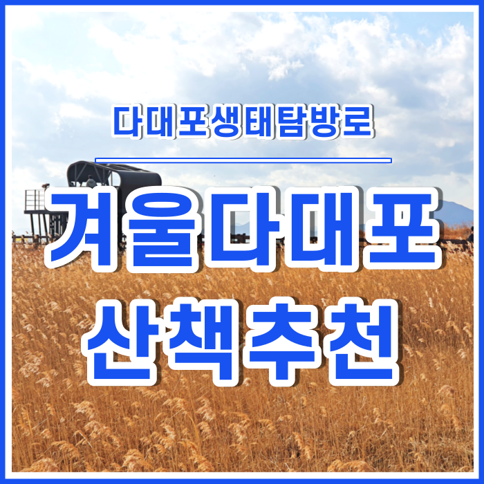  [부산안내] 봄을 맞이하는 늦겨울산책로, 다대포생태탐방로