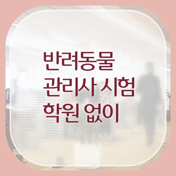  반려동물 보험 반려동물의료보험 반려동물관리사 자격증 취득 알아보기 !