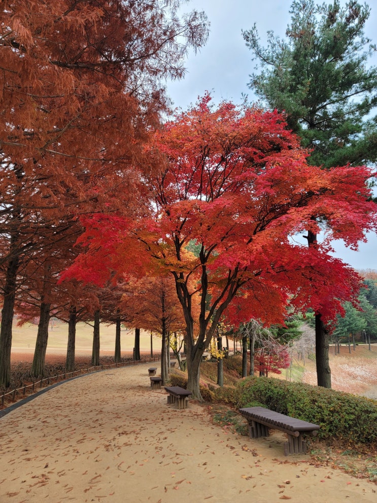  청주 여행, 강아지 동반 가능한 청남대 [입장료/주차/예약]