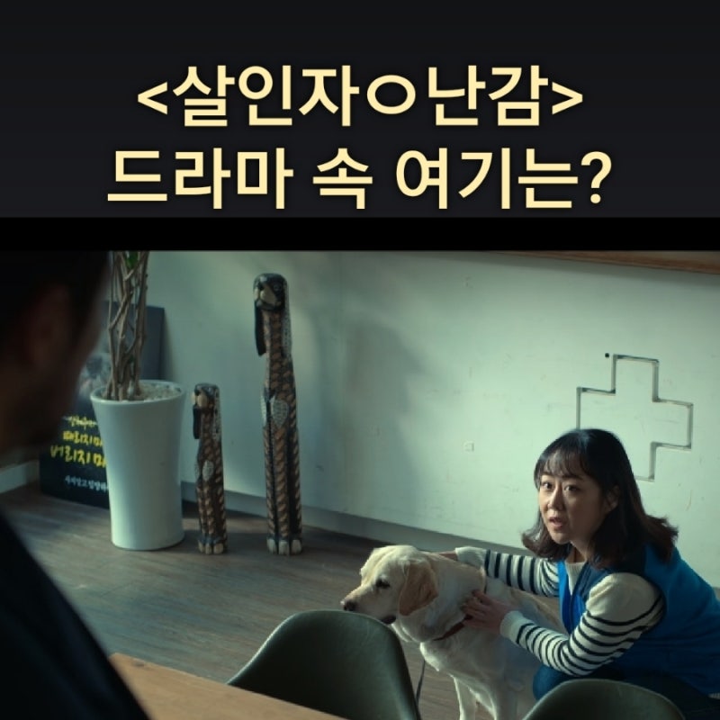 블로그 사진