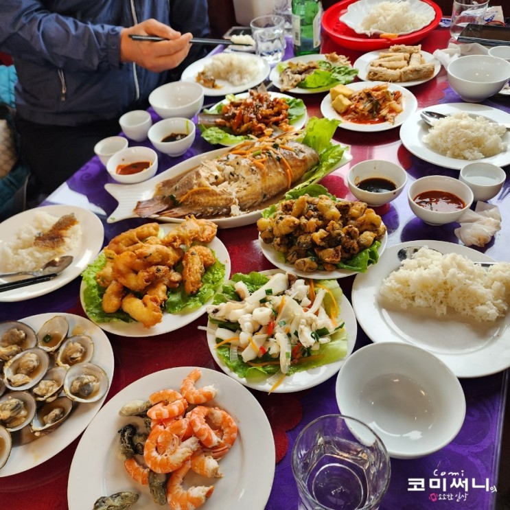 [베트남 캄보디아 패키지여행] 하롱베이 선상식 점심 식사 씨푸드 선택 옵션 Feat. 생일상 감사