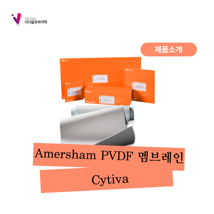 [Cytiva] Amersham PVDF 멤브레인