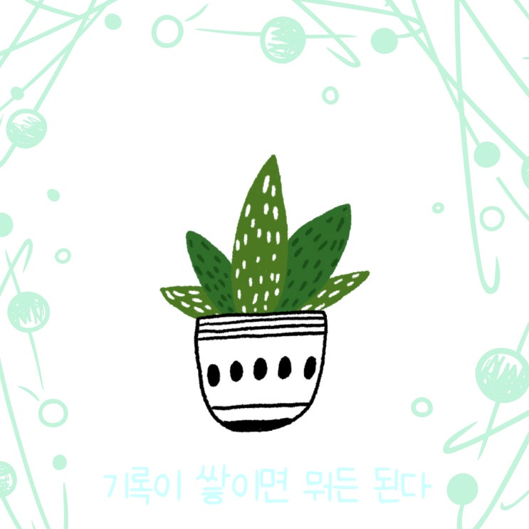  매일 글쓰기 0215
