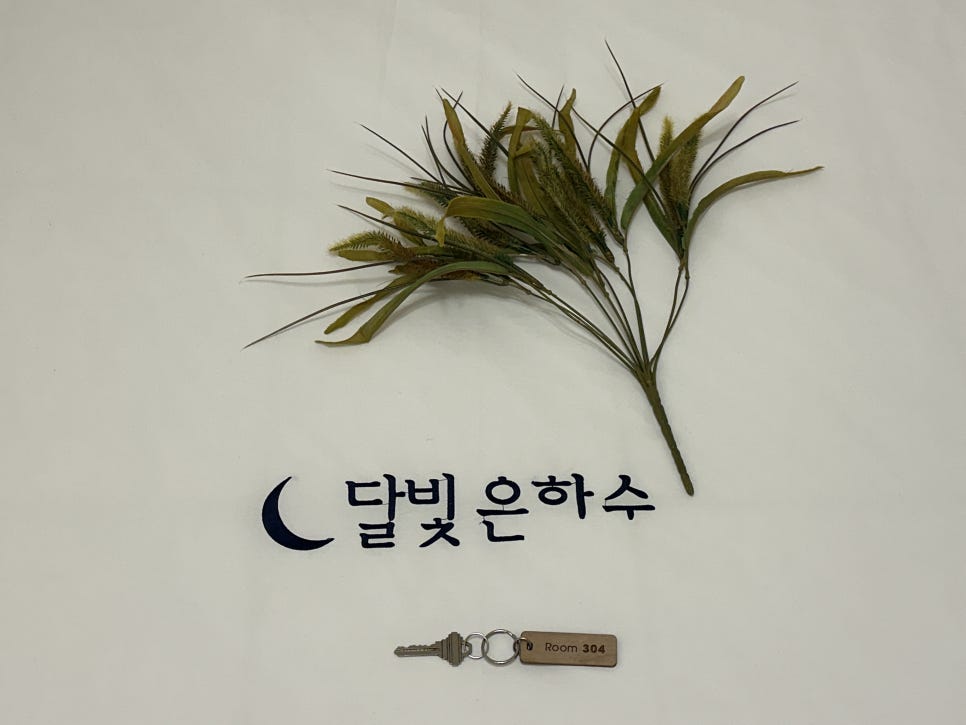 달빛은하수 사진 2