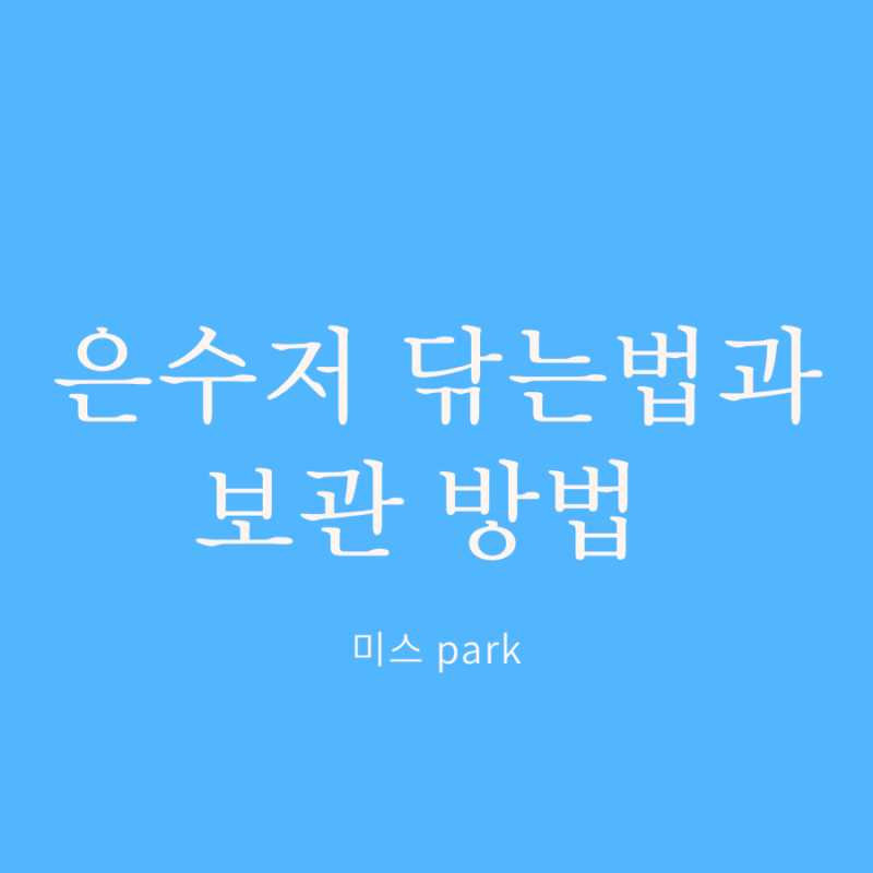은 수저 닦는 방법 보관법 은 세척 법