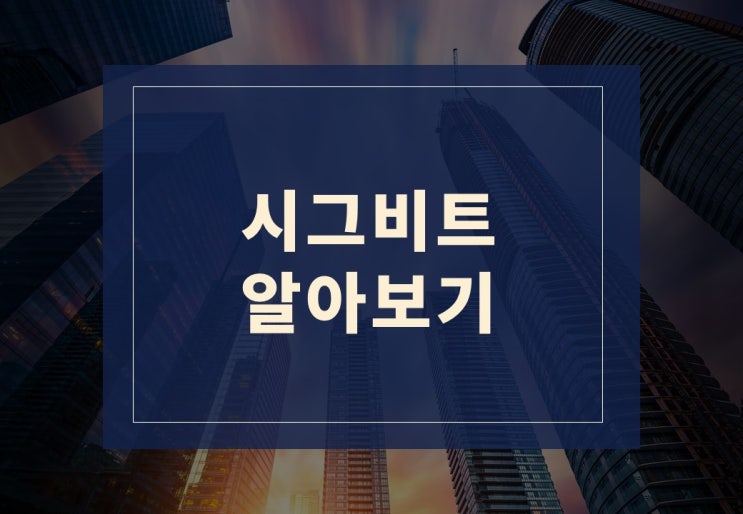  시그비트와 마진거래 알아보겠습니다
