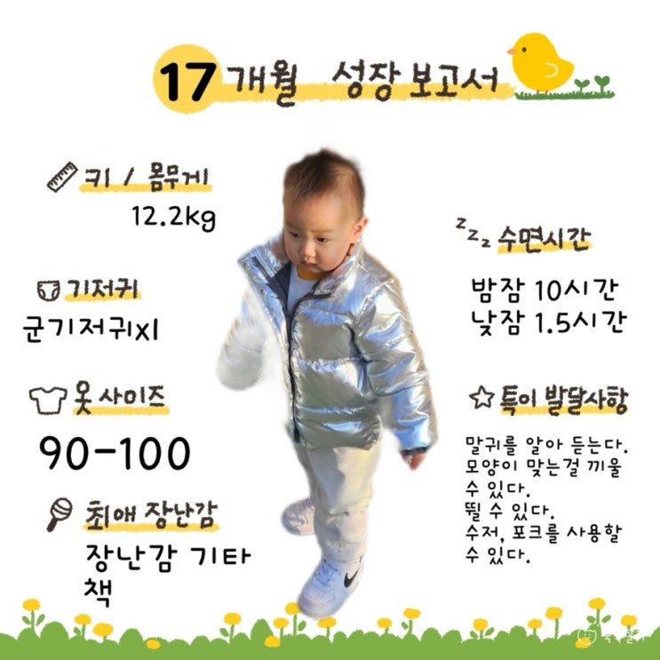  [메리의 성장 보고서] 17개월 아기 발달 기록