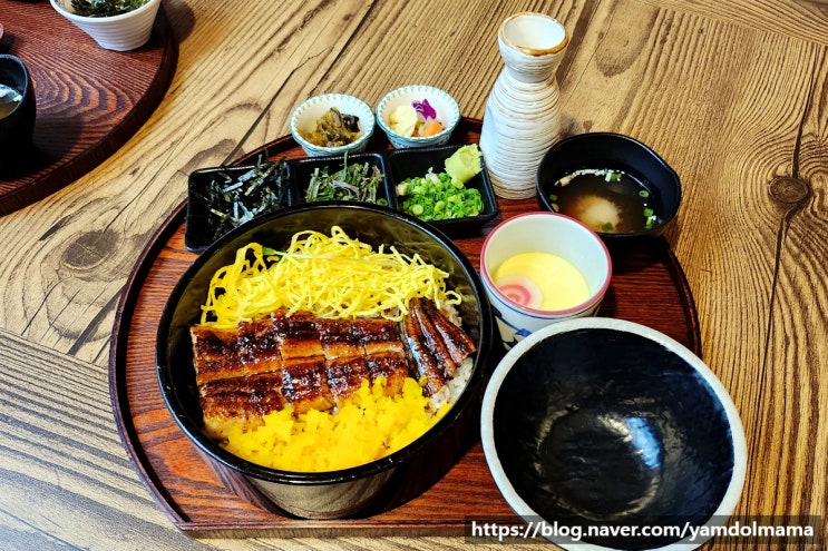  보람동일식당 우나기칸 세종본점 메뉴, 가격, 주차정보