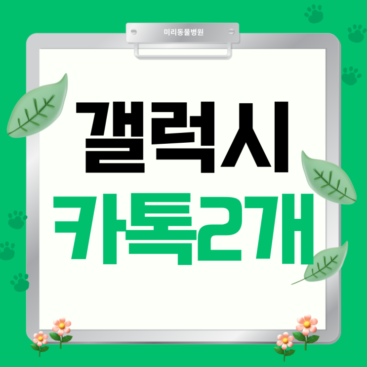  갤럭시 유용한 기능 듀얼메신저 카톡 2개 쓰기