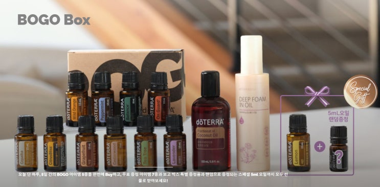  [보고박스 공개] 도테라 BOGO 프로모션 아이템(에센셜오일 5종)과 무료선물 소개